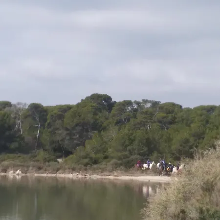 Des Aresquiers Frontignan