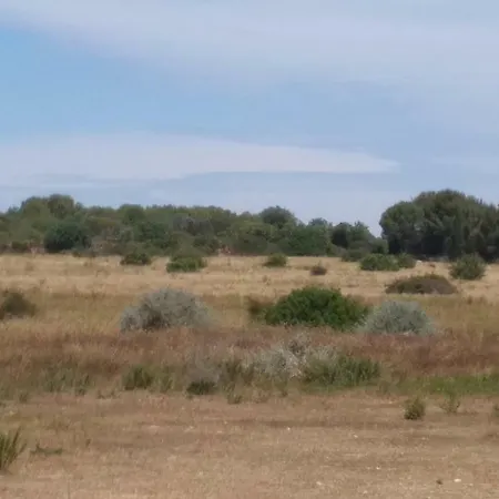 Semesterbostad Des Aresquiers