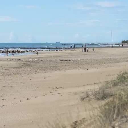 Des Aresquiers Frontignan