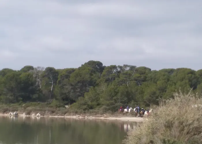 Cabanès Des Aresquiers Frontignan