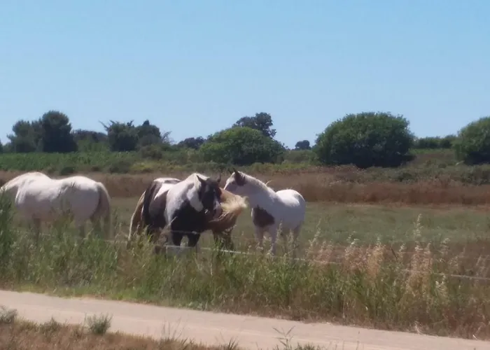 Casa vacanze Cabanès Des Aresquiers *