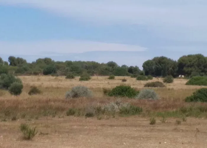 Casa vacanze Cabanès Des Aresquiers