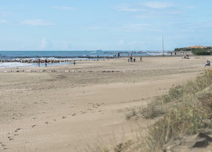 Cabanès Des Aresquiers Frontignan